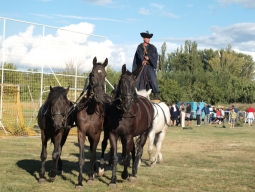 falunap2012_148_20180901
